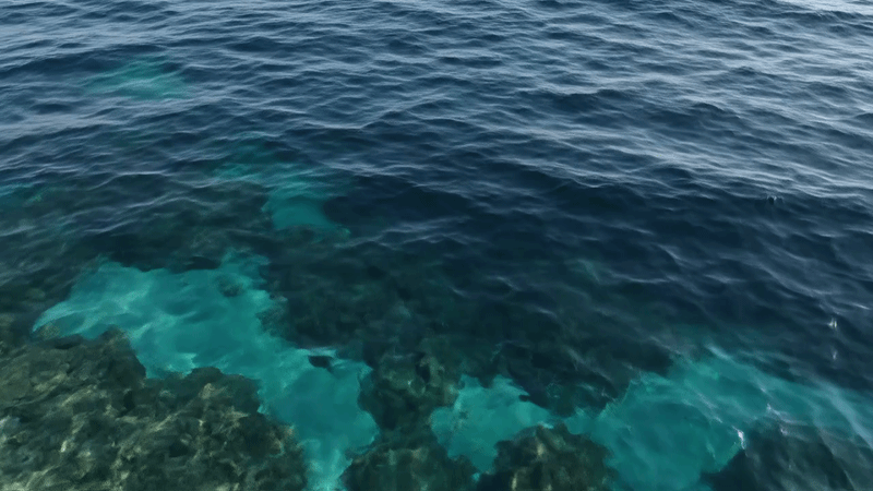 Ocean Background